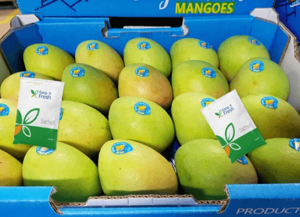 Exporting Mangoes