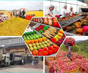 Agricultural product exports to the Chinese market grew by double digits