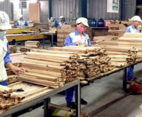 Enterprises exporting imported peeled wood are ambiguous in their declarations to avoid taxes