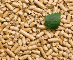 Instructions on procedures for exporting sawdust wood pellets