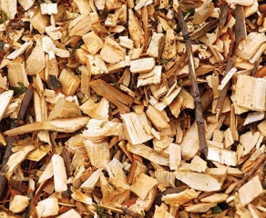 Oak chips