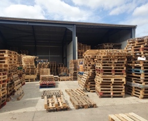 Pallet Pine