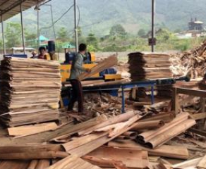 Peeled wood exports increased unusually