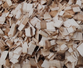 Pine wood chips