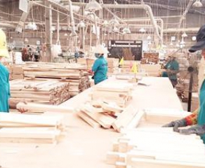 The wood processing industry still has great attraction