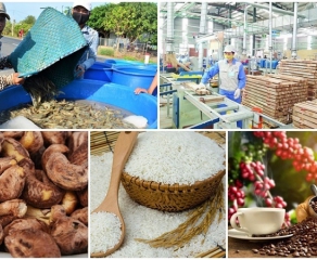 Vietnamese businesses need to pay attention when exporting agricultural products to the Australian market