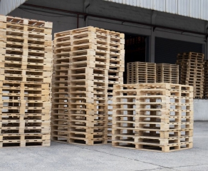 Wood Pallets: The Basics of Wood, Uses for Wooden Pallets